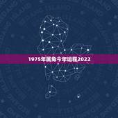 1975年属兔今年运程2022，属兔人49岁有一场大灾难