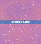 发财鱼打架是什么原因，发财鱼总掐架怎么办