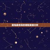 属兔最忌讳的婚配属相分析，属兔的最适合什么属相