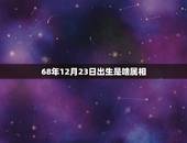68年12月23日出生是啥属相，阳历1968年12月23日五行属什麼