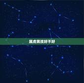 属虎男孩好不好，虎年的男人是怎么样的