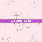 96年1月鼠和什么属相配，96年的鼠男和什么属相配