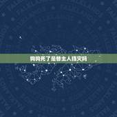 狗狗死了是替主人挡灾吗，狗狗去世是为了给主人挡灾吗？