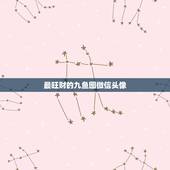 最旺财的九鱼图微信头像，九鱼图寓意是什么？