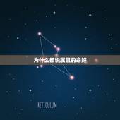 为什么都说属鼠的命好，女鼠和男蛇做夫妻好不好