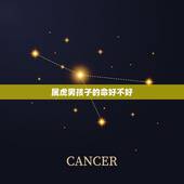 属虎男孩子的命好不好，生肖虎更佳出生时辰