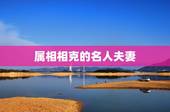 属相相克的名人夫妻，属相相冲结婚的名人