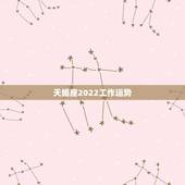 天蝎座2022工作运势，属鼠2022天蝎座全年运势