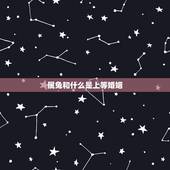 属兔和什么是上等婚姻，生肖兔的更佳婚配