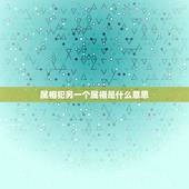 属相犯另一个属相是什么意思，开业吉日冲属相什么意思