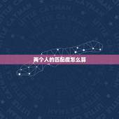 两个人的匹配度怎么算，C语言写一个计算两个人匹配程度的多项选择的程序！