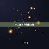 十二生肖马是什么座，属马的到底是什么星座