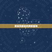 属鼠和属鼠的婚配属相，属鼠最佳婚配属相