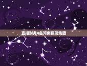 直招财务4名河南振茂集团，河南省人民大会堂财务部电话