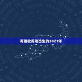 有谁收养刚出生的2021年，2021放宽收养政策？