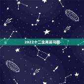 2022十二生肖买马图，2022 香港买马生肖图