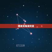 青龙见兔泪交流，龙和兔在一起谁克谁
