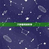 八字看何时怀孕，八字求预测何时怀孕，急····