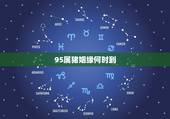 95属猪姻缘何时到，2022 年属猪的桃花运如何