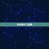 老鼠年出生的多少岁了(你的年龄到底是几岁)