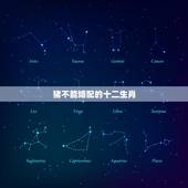 猪不能婚配的十二生肖，属猪和什么生肖相冲