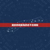 属蛇的和属兔的合不合婚配，属羊的和属狗的合不合