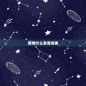 属相什么命查询表，十二生肖的各属于什么命