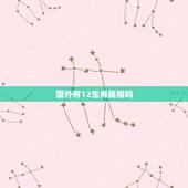 国外有12生肖属相吗，国外有没有12属相