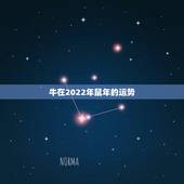 牛在2022年鼠年的运势，73年属牛一生三灾难