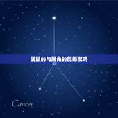 属鼠的与属兔的能婚配吗，生肖兔和鼠相配吗 详细�0�3