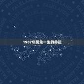 1987年属兔一生的命运，1987年属兔女中年后的运势