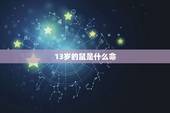 13岁的鼠是什么命，2022 年13岁是几几后
