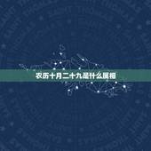 农历十月二十九是什么属相，一九柒二年农历十月二十九日的生肖是什么？