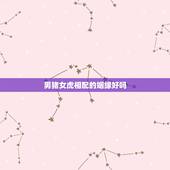 男猪女虎相配的姻缘好吗，男属猪和女属虎相配吗？
