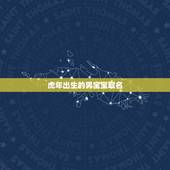虎年出生的男宝宝取名 2022年属虎宝宝取名