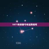 1971年的猪今年运势如何，1971年的生肖猪运势