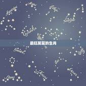 最旺属鼠的生肖，2022 属鼠养什么动物最旺