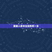 属猪人命中注定的另一半，每个人都有命中注定的另一半 是这样吗？