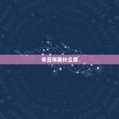 辛丑年属什么命，庚子年五行属什么