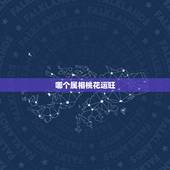 哪个属相桃花运旺，那个生肖男桃花运好