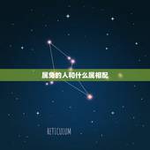 属兔的人和什么属相配，属猪的人和什么属相配