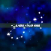 十二生肖属鼠与什么属相相配，属鼠的和什么属相最配