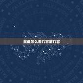 星盘怎么看几宫落几宫，求大师告诉我怎么查婚神星落入第几宫