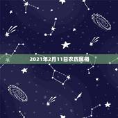 2021年2月11日农历属相，农历2021年2月13日15日48分属什