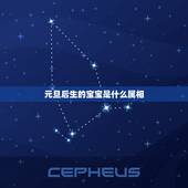 元旦后生的宝宝是什么属相，是元旦后生的该什么属相