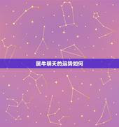 属牛明天的运势如何，属牛明天的运势怎么样