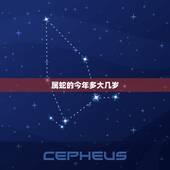 属蛇的今年多大几岁，属鸡的今年多大2022 年虚岁