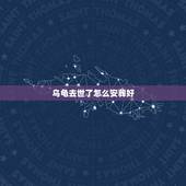 乌龟去世了怎么安葬好，乌龟死了怎么安葬？