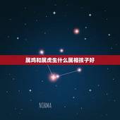属鸡和属虎生什么属相孩子好，父母都属虎生个属鸡的孩子好吗
