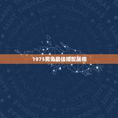 1975男兔最佳婚配属相，75年属兔的属相婚配表和牛配吗